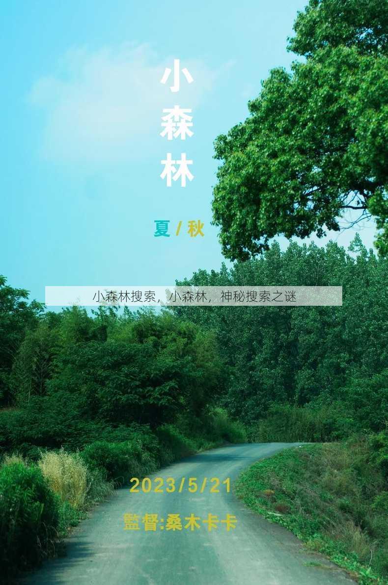 小森林搜索