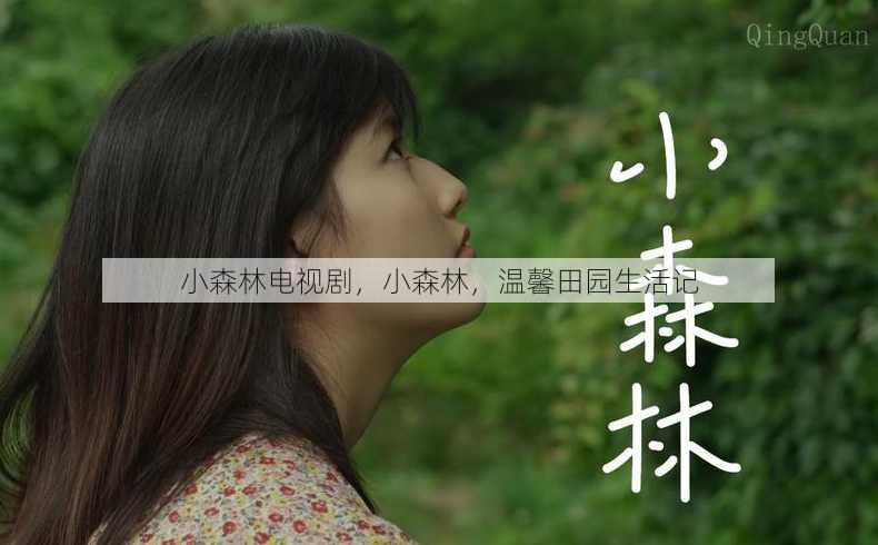 小森林电视剧