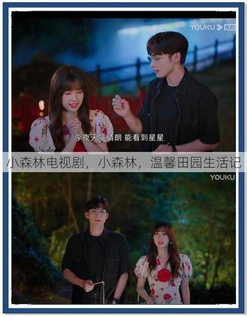 小森林电视剧