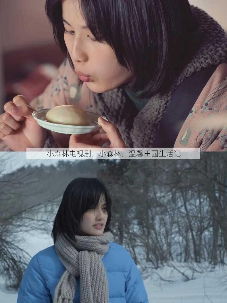 小森林电视剧