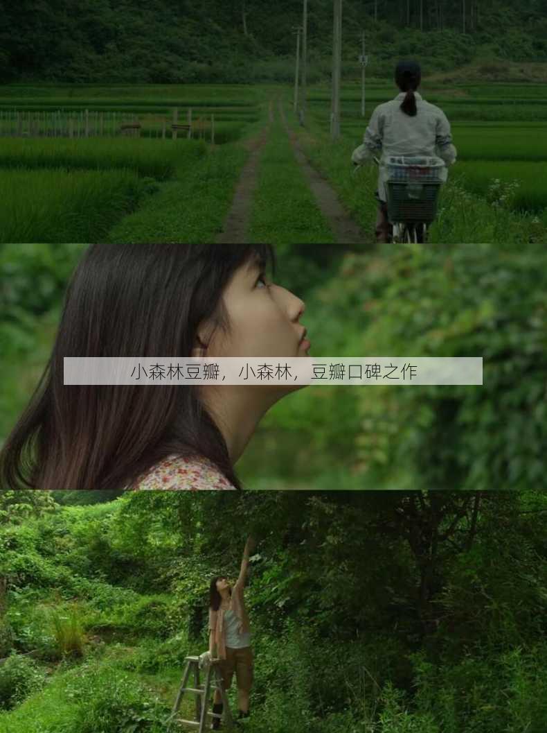 小森林豆瓣