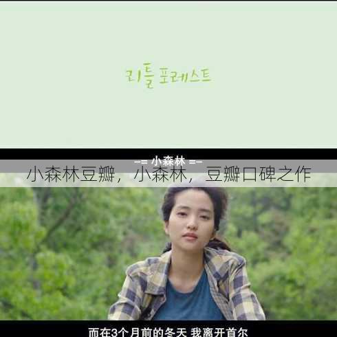 小森林豆瓣