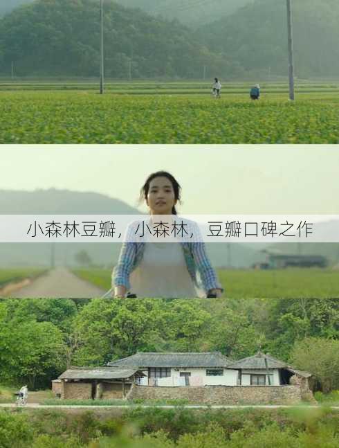 小森林豆瓣