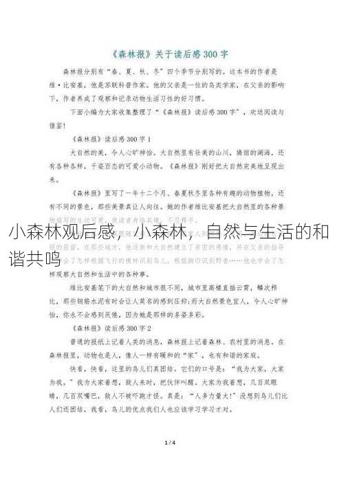 小森林观后感