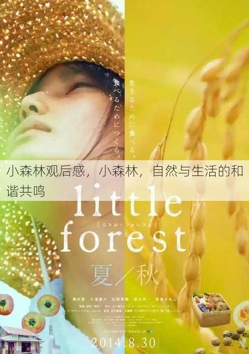 小森林观后感