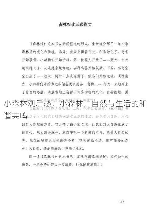 小森林观后感