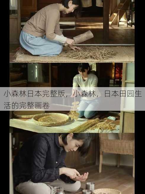小森林日本完整版