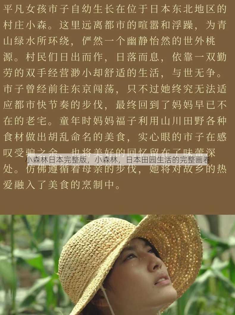 小森林日本完整版