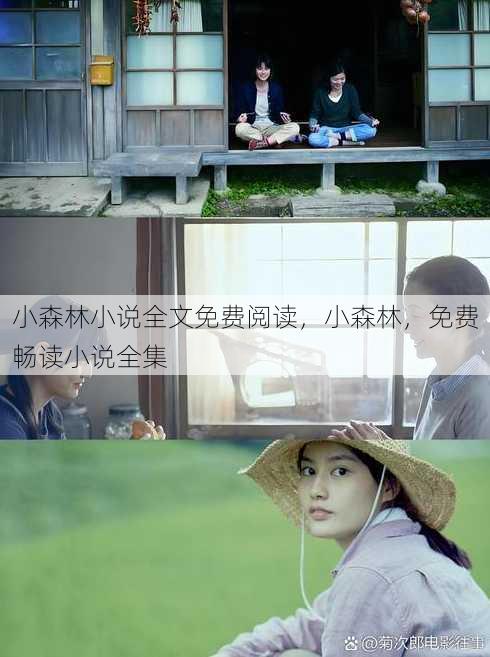 小森林小说全文免费阅读