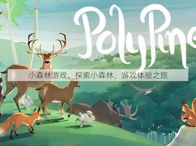 小森林游戏