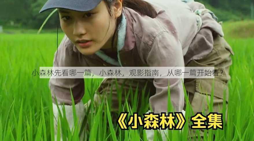 小森林先看哪一篇