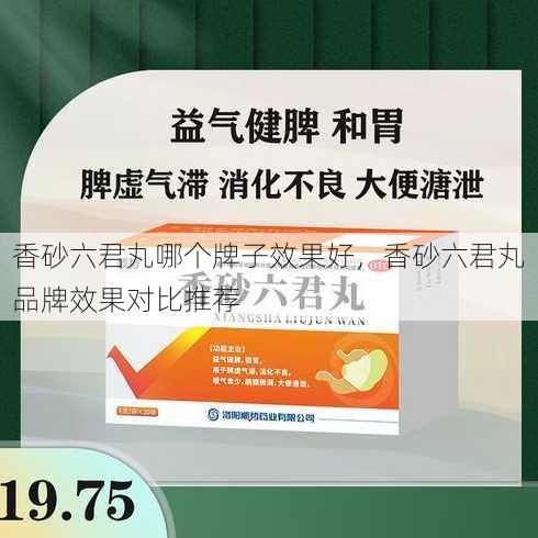 香砂六君丸哪个牌子效果好