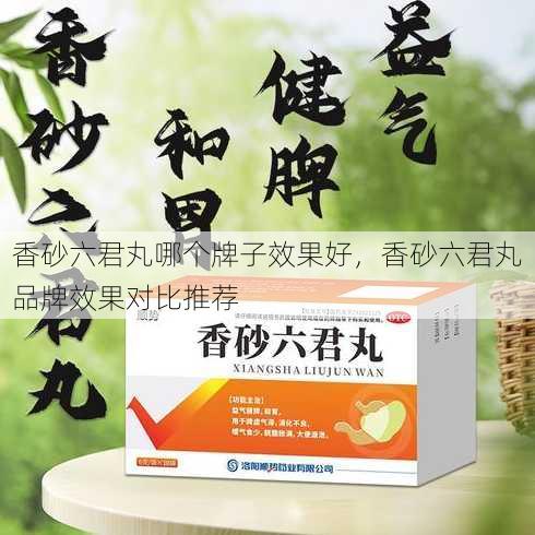 香砂六君丸哪个牌子效果好