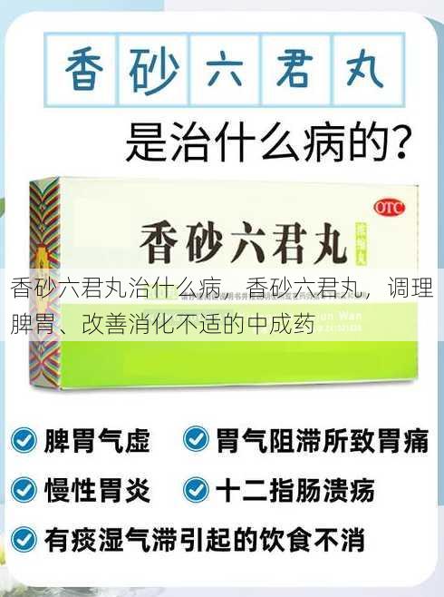 香砂六君丸治什么病