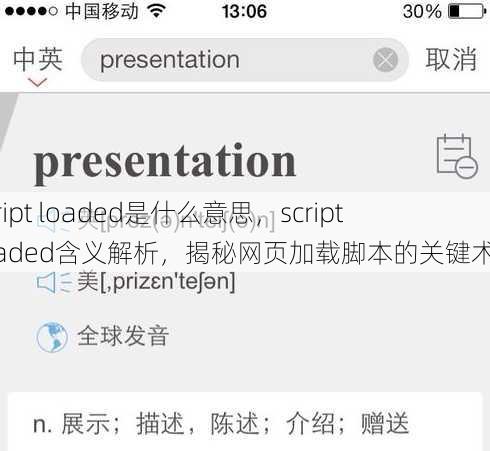 script loaded是什么意思