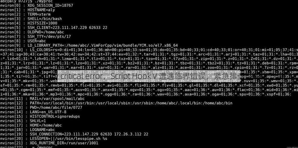 script hook v critical error