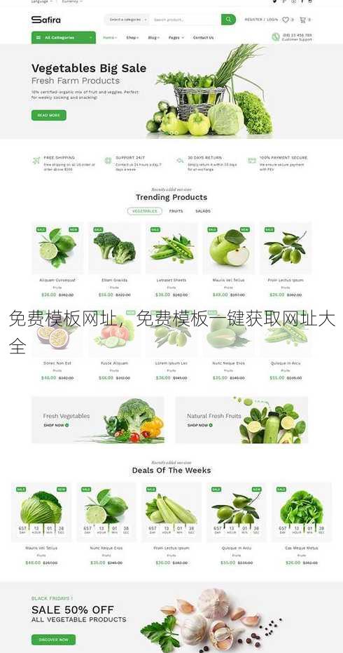 免费模板网址