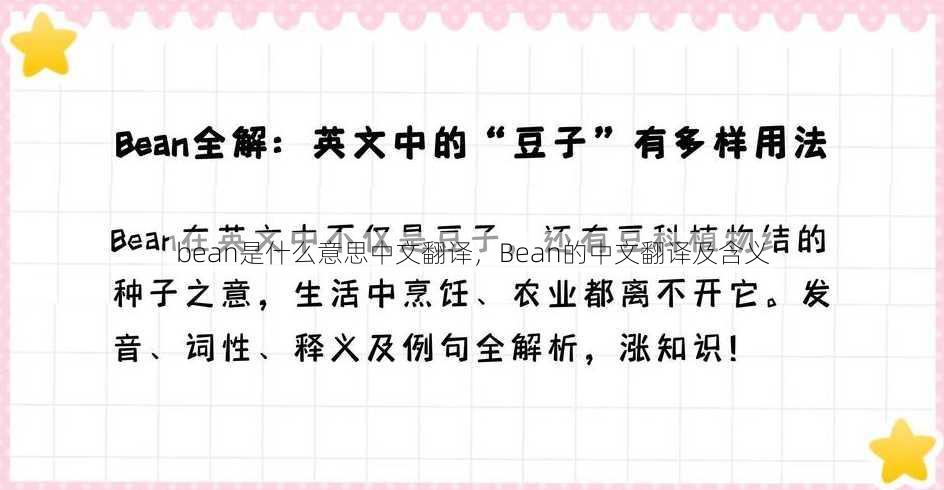 bean是什么意思中文翻译