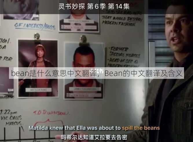 bean是什么意思中文翻译