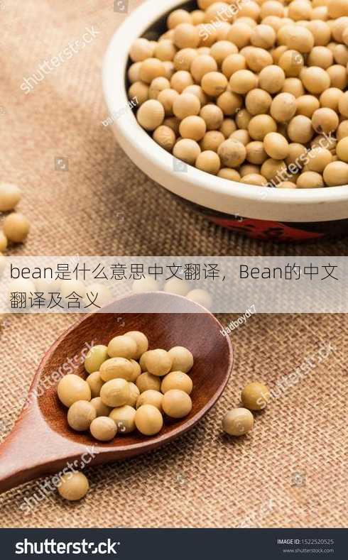 bean是什么意思中文翻译