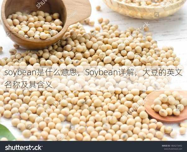 soybean是什么意思
