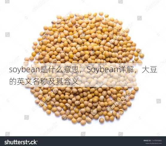 soybean是什么意思