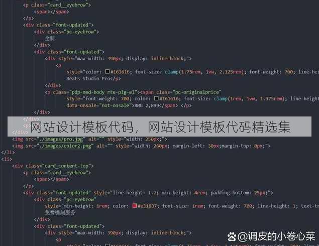 网站设计模板代码