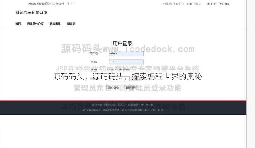 源码码头