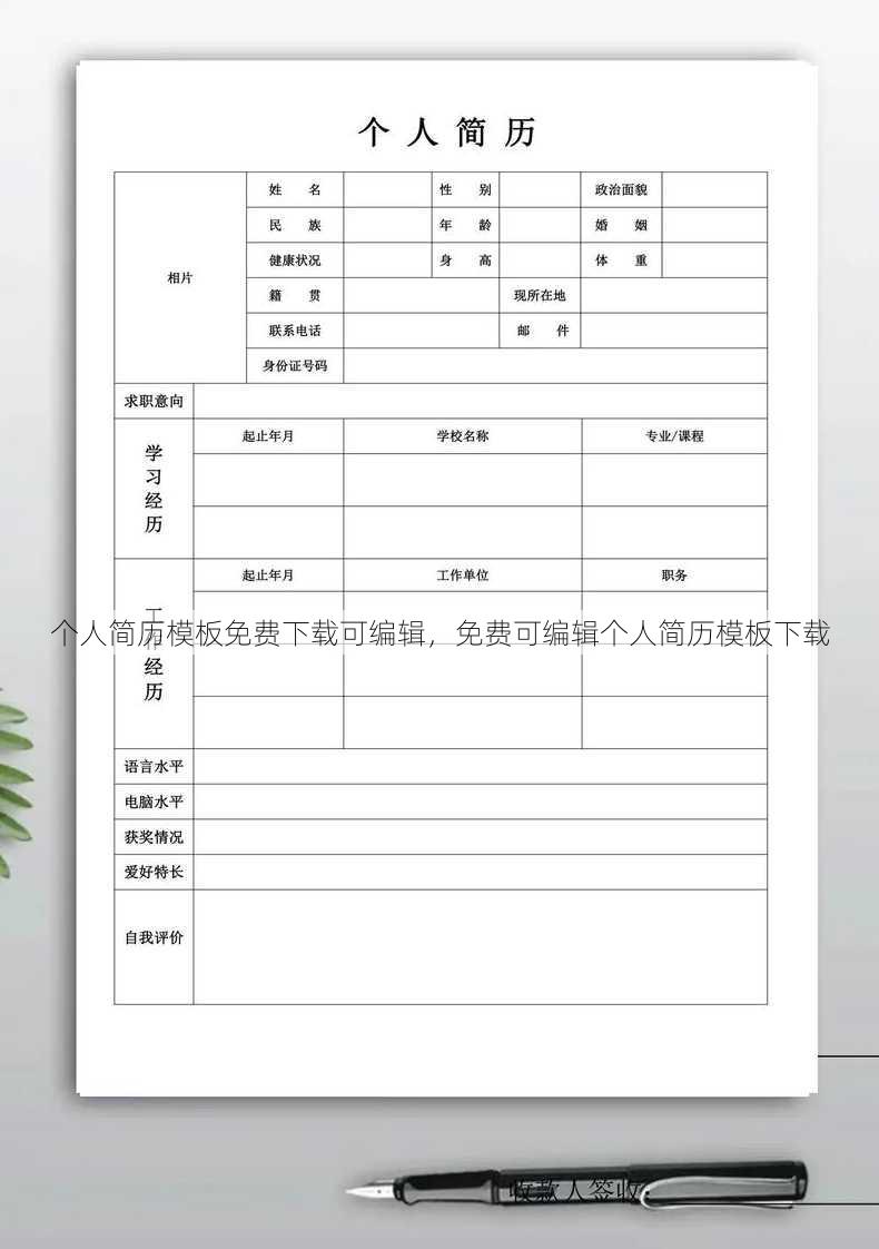 个人简历模板免费下载可编辑