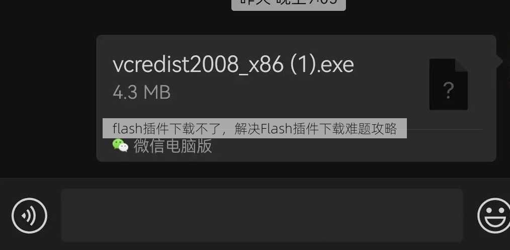flash插件下载不了