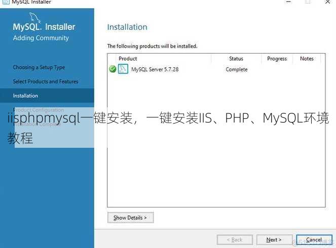iisphpmysql一键安装