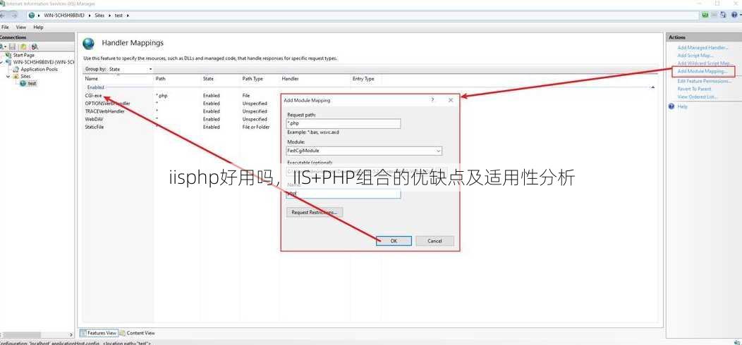 iisphp好用吗