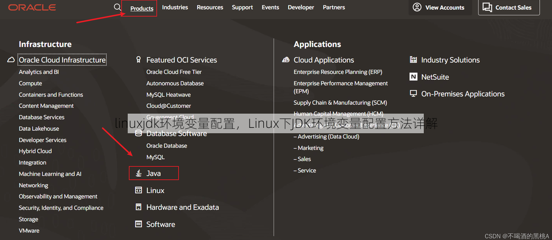 linuxjdk环境变量配置