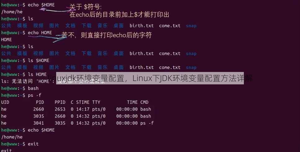 linuxjdk环境变量配置