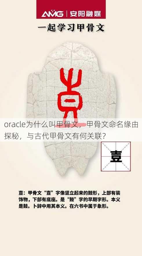 oracle为什么叫甲骨文