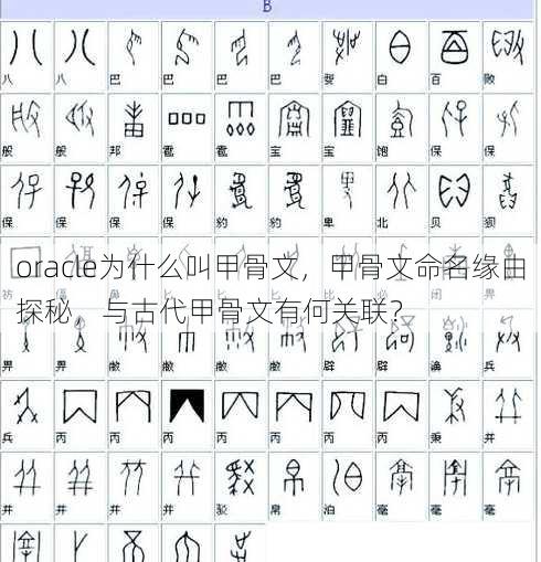 oracle为什么叫甲骨文