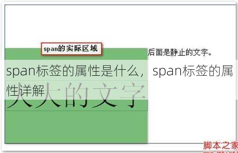 span标签的属性是什么