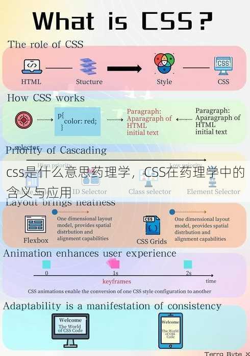 css是什么意思药理学