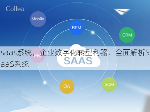 saas系统