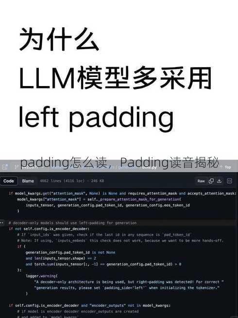 padding怎么读