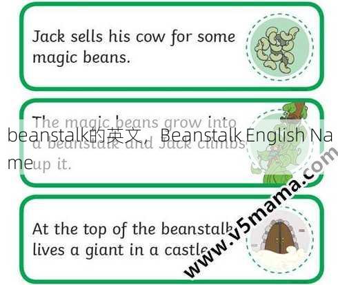 beanstalk的英文