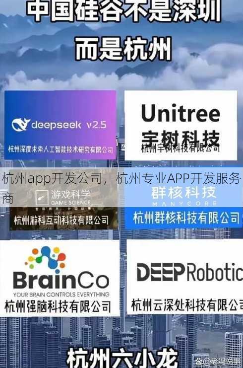 杭州app开发公司