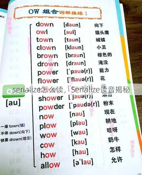 serialize怎么读