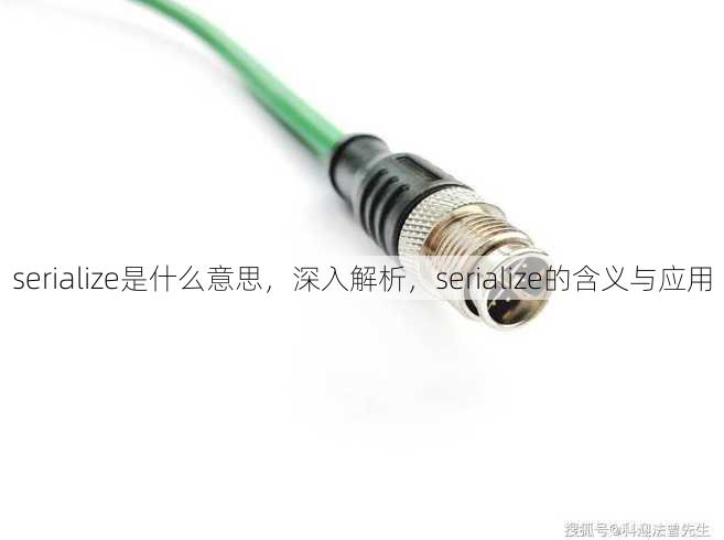 serialize是什么意思