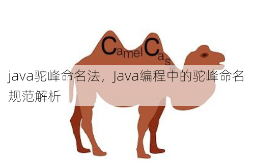 java驼峰命名法