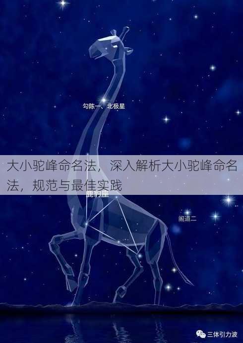 大小驼峰命名法