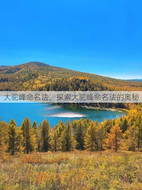 大驼峰命名法