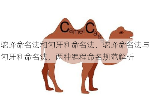 驼峰命名法和匈牙利命名法