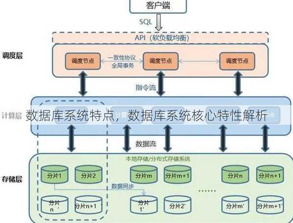 数据库系统特点