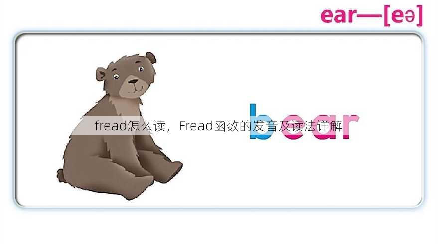 fread怎么读